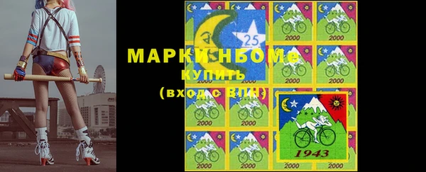 дурь Алексин