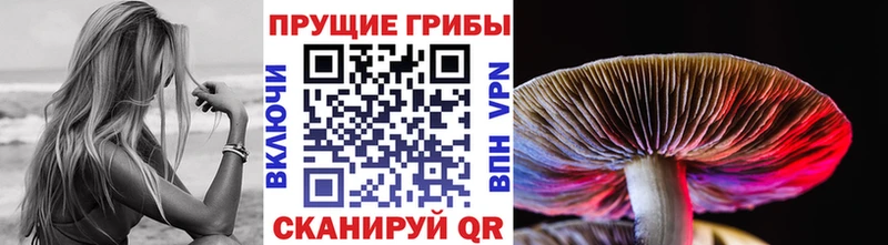 Галлюциногенные грибы мухоморы  Белорецк 