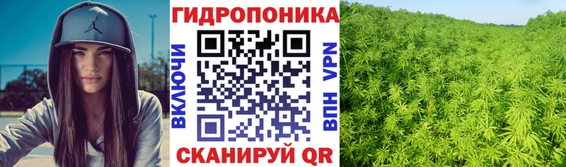 купить наркоту  Белорецк  Бошки Шишки план 